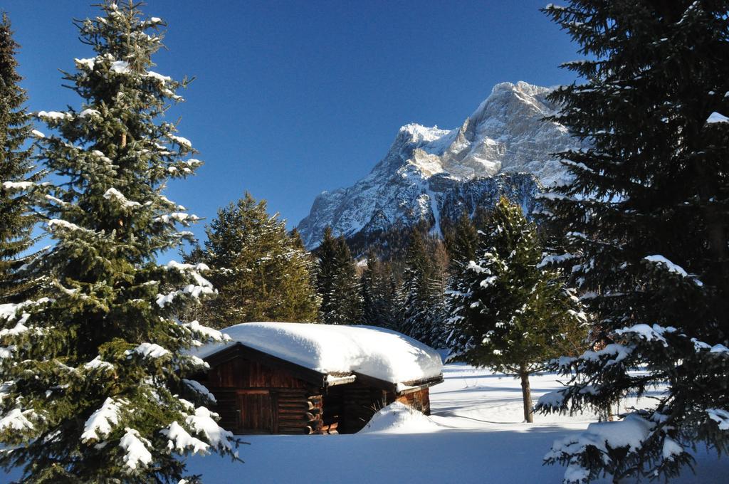 Hotel Alpen Residence Ehrwald Extérieur photo
