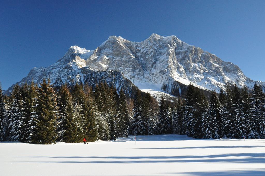 Hotel Alpen Residence Ehrwald Extérieur photo